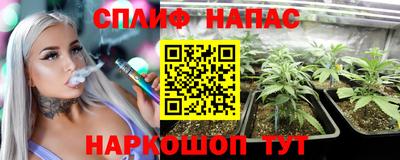МДПВ Обь