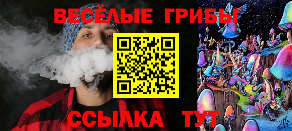 Строитель  Псилоцибиновые грибы Psilocybe  Псилоцибиновые грибы мицелий  Вход с VPN 